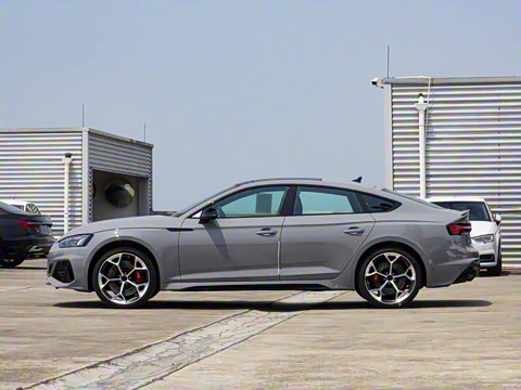 2024�� RS 5 2.9T Sportback ȼ���