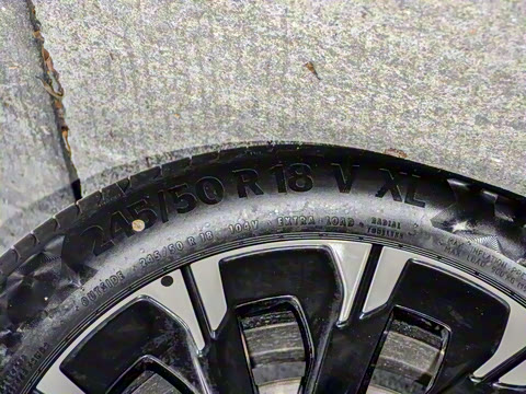 2025�� �������Ȱ�