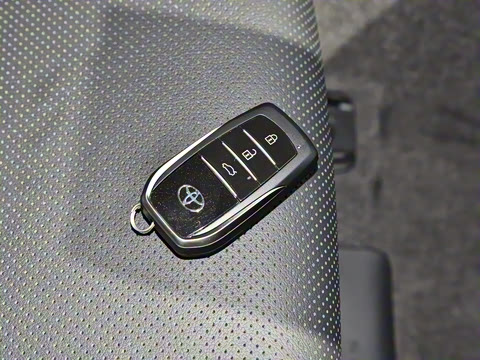 2024�� ˫�� 2.0L ������