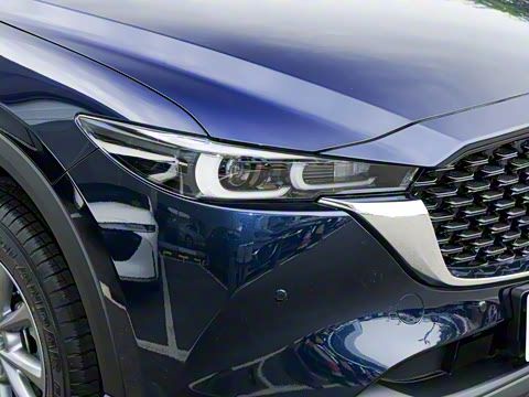 2025�� 2.0L �Զ�����������