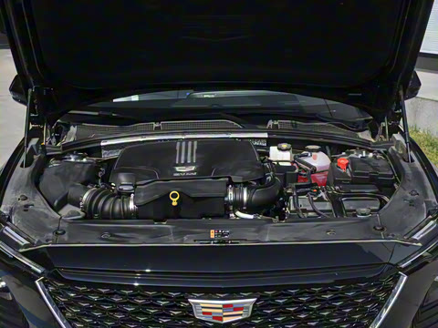 2023�� 25T ������