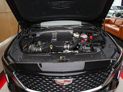 2023�� 25T �����