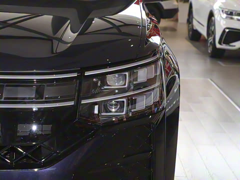 2025�� ;�� Pro 450TSI �����Ƿ��