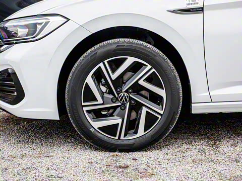 2025�� �Ŀ� 300TSI DSG��Խ��