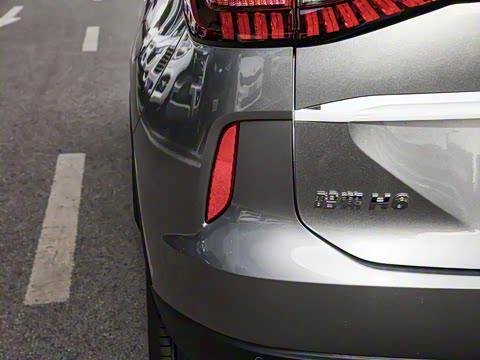 2024�� ������ 2.0T �Զ�����Max