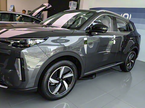 2024�� ����� 125 �캽�� �д��º�