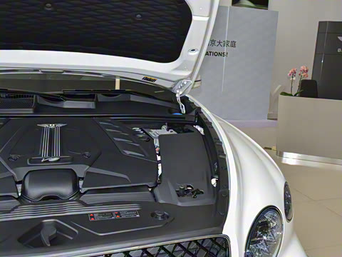 2026�� 4.0T V8 ������