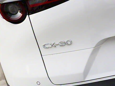 2024�� 2.0L �Զ�������