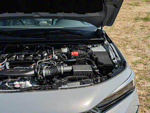 2025�� 240TURBO CVT ��ȤPro