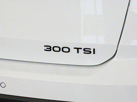 2024�� 300TSI ���������