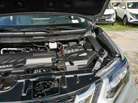 2025�� ���� 2.0L �������Ȱ�