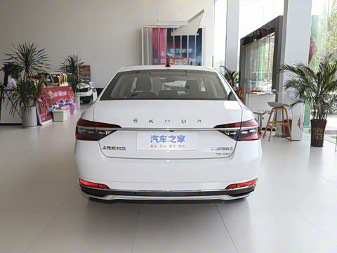2025�� TSI330 DSG������
