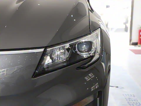 2025�� ��������