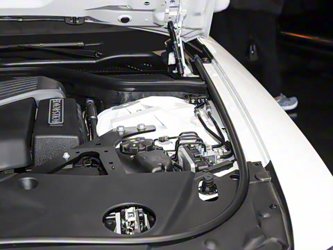 2025�� Black Badge