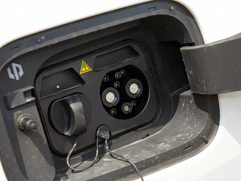 2024�� ���� 515������