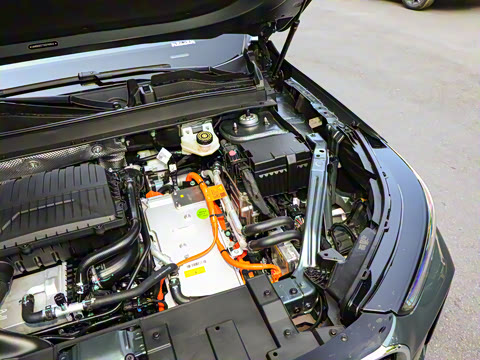 2025�� 1.5T 116km ������ 7��