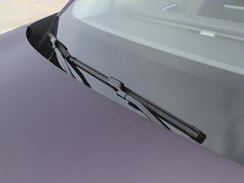 2025�� 510�����״��