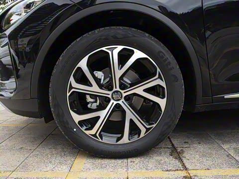 2025�� DM-i 115KM �콢��