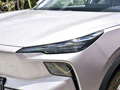 2025�� 445km ��ѡ��