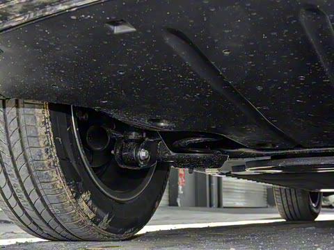 2025�� 445km ��ѡ��