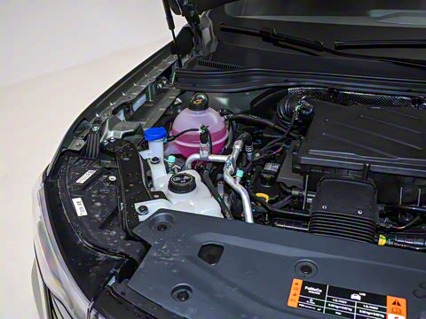 2025�� ������PLUS