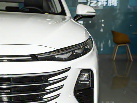 2024�� ���Ĵ� 2.0T �캽��