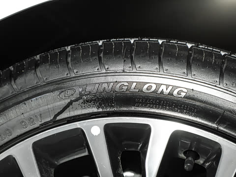 2024�� ���Ĵ� 2.0T �캽��