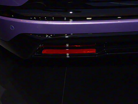 2025�� ����������Max