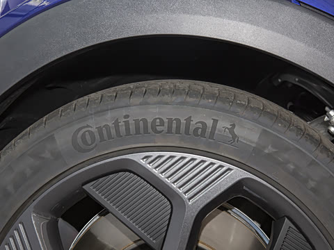 2025�� ���¿� Max ��������