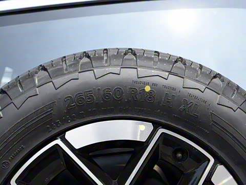 2024�� ����������