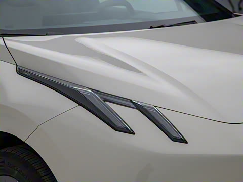 2025�� 530km ����Max