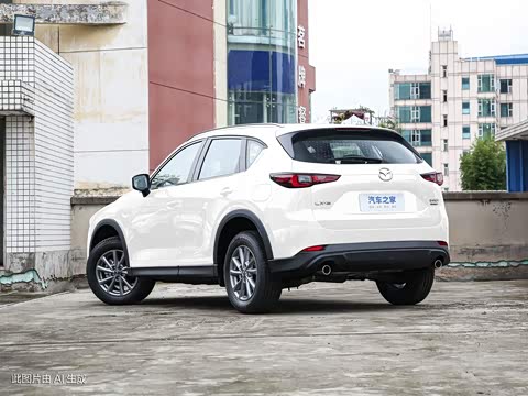 2024�� 2.0L �Զ�����������