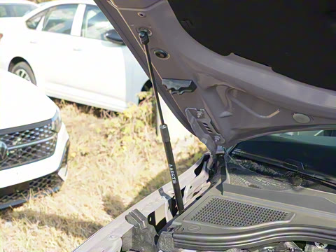 2025�� Pro 380TSI �ǿ���ҫ��