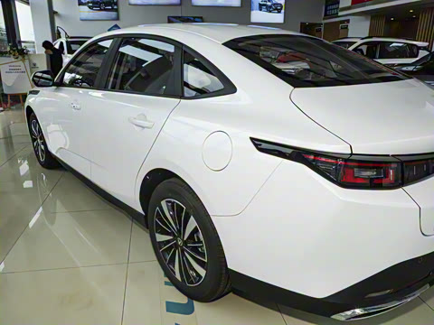 2025�� �ǻ������� 145KM ���ܰ�