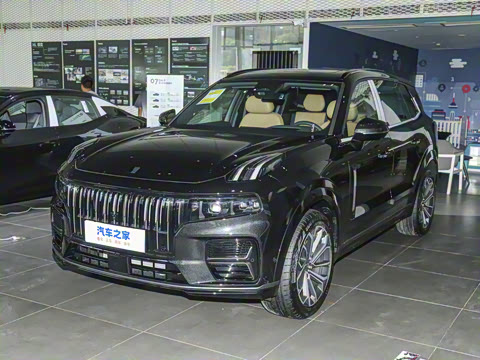 2025�� 2.0TD EM-P ����Max ����