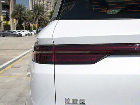 2025�� �ڶ��� DM-i 115KM׿Խ��