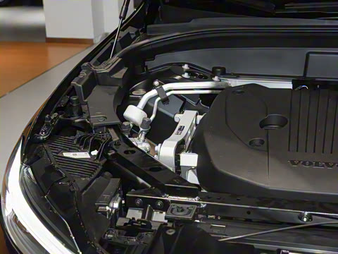 2025�� B5 �������ݺ�����