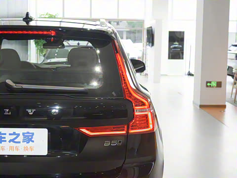 2025�� B5 �������ݺ�����