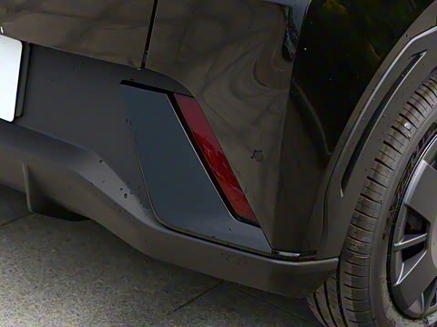 2025�� 305km ������