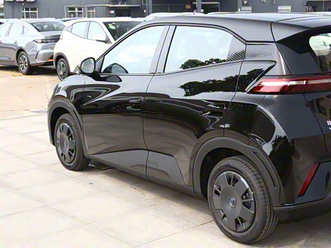 2025�� 305km ������