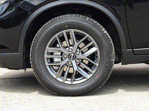 2025�� ���� 2.0L �������Ȱ�