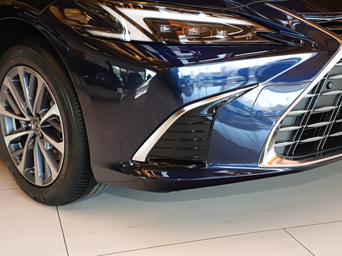 2025�� 300h ������