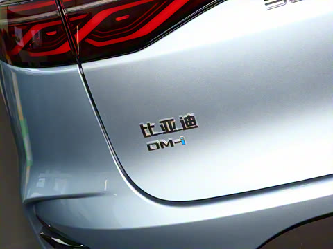 2024�� DM-i ��ҫ�� 112KM ������