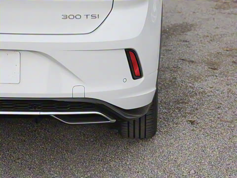 2025�� 300TSI DSG���������