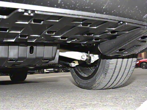 2025�� ���羫Ӣ��