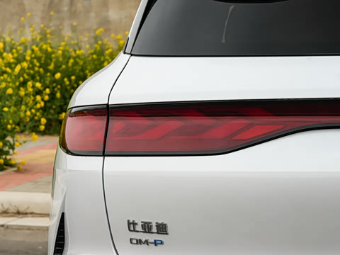 2025�� DM 200KM���������״��콢��