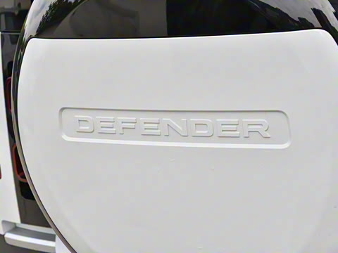 2025�� 90 2.0T P300 S