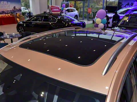 2025�� 300TSI DSG���������