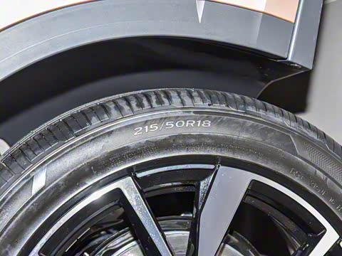 2025�� 300TSI DSG���������