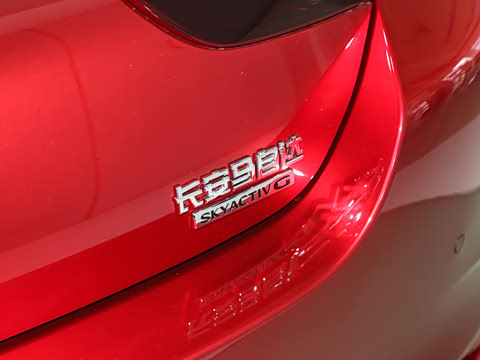 2023�� 2.0L �Զ����Ű�